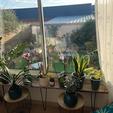 Bed and Breakfast Privative Proche Circuit 3*